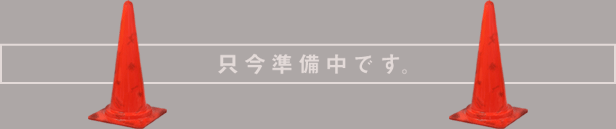 �����A�������ł�